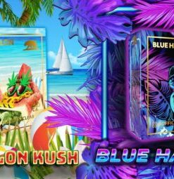 Watermelon Kush / Blue Hawaiian Summer Editon